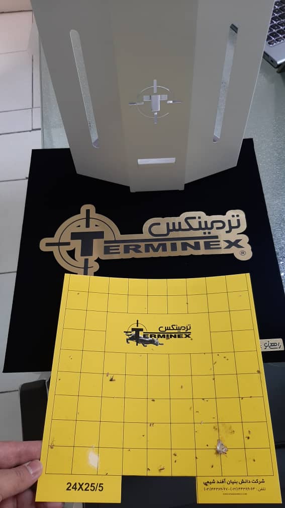 حشره کش چسبی